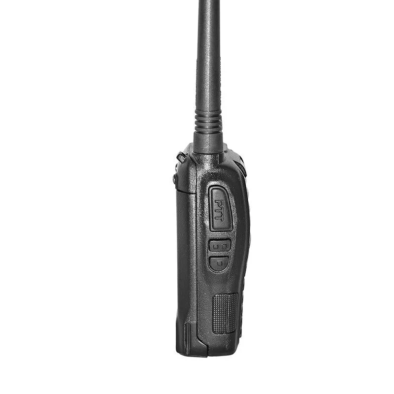 BF-B5 - Image 4