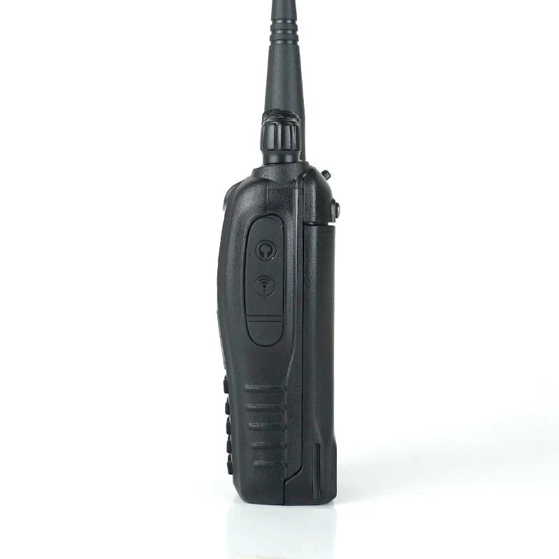BF-B6 - Image 5