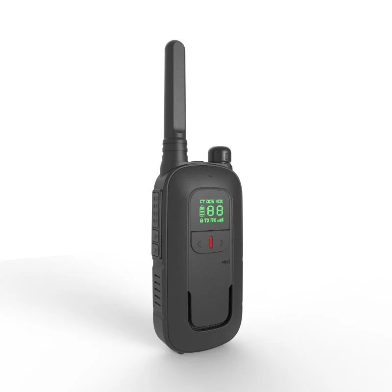 BF-T12 - Image 2