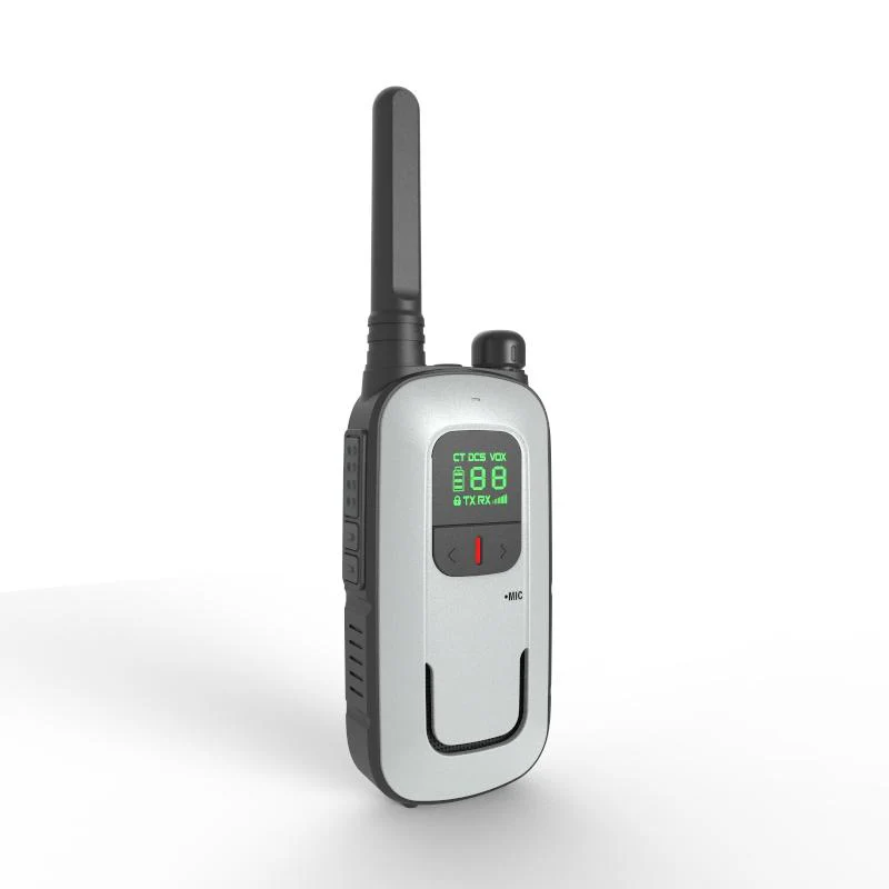 BF-T12 - Image 3