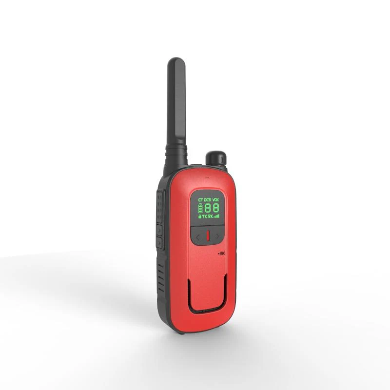 BF-T12 - Image 4
