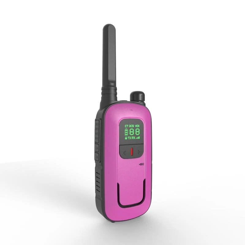 BF-T12 - Image 5