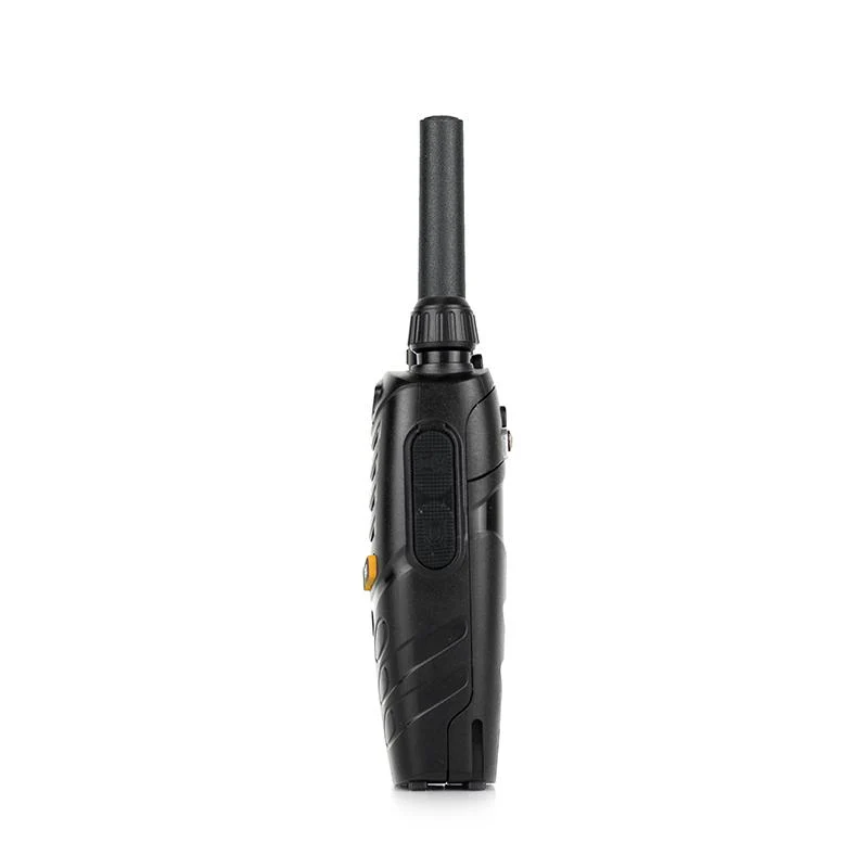 H-31 - Image 2